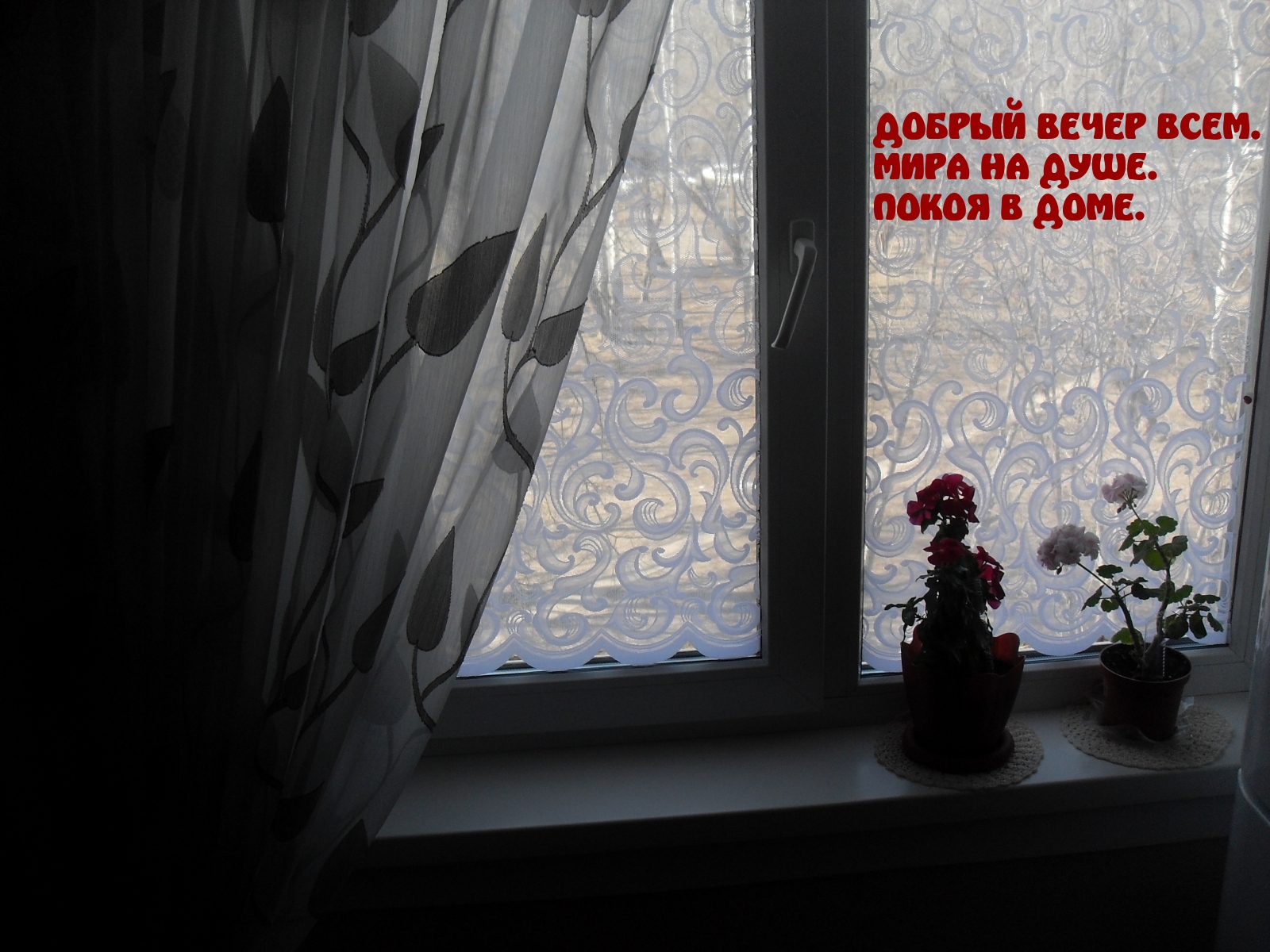 Добрый вечер всем. Мира на душе. Покоя в доме.