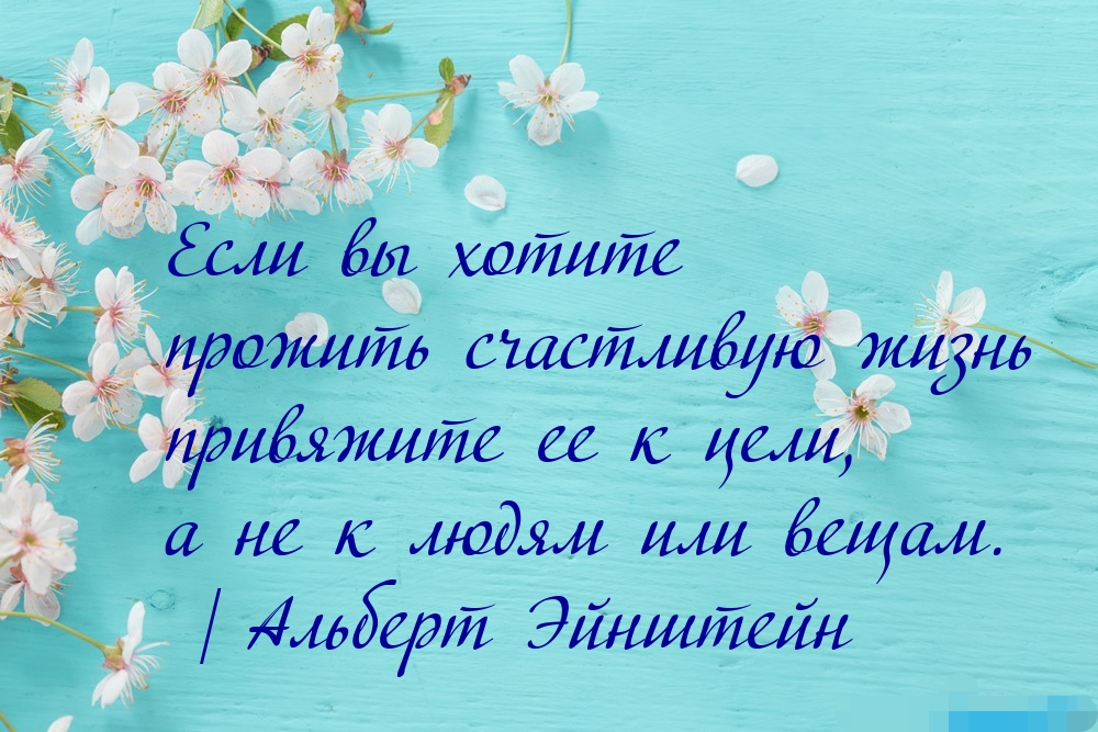 Если вы хотите прожить счастливую жизнь привяжите ее к цели