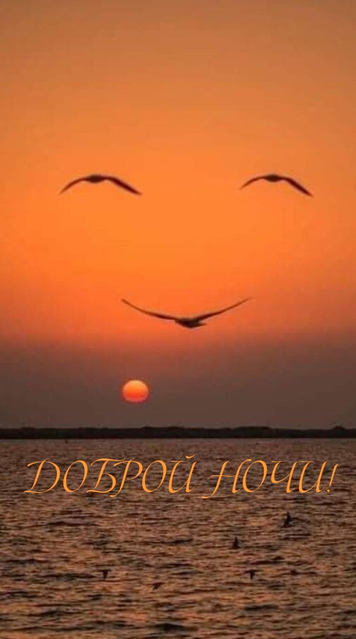 Доброй ночи!