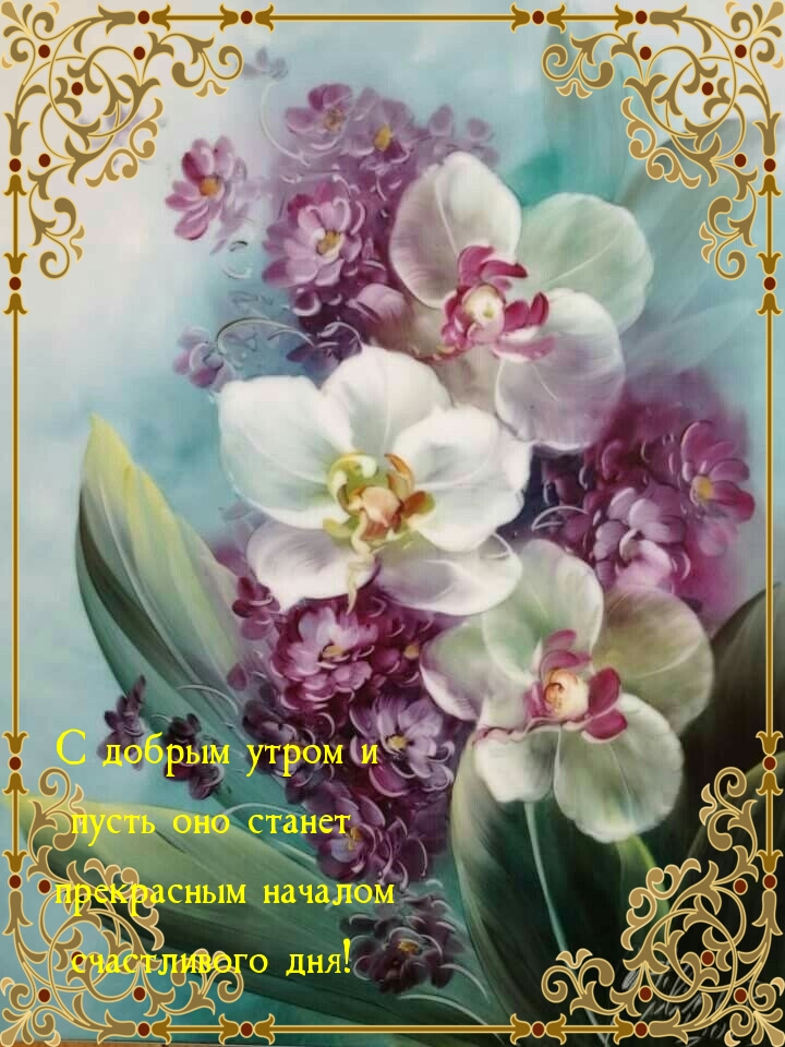 С добрым утром и пусть оно станет прекрасным началом счастливого дня!
