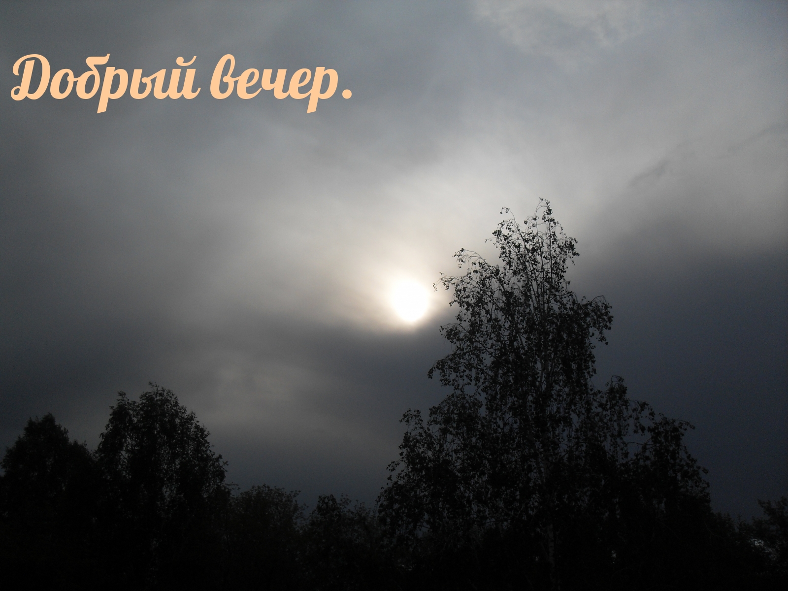 Добрый вечер.