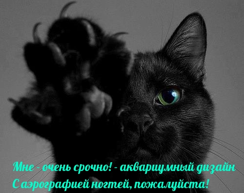Мне — очень срочно! — аквариумный дизайн