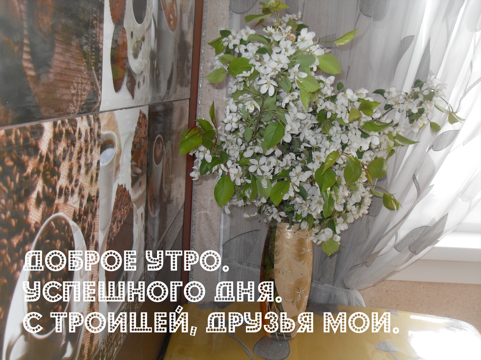 Доброе утро. Успешного дня. С троицей, друзья мои.