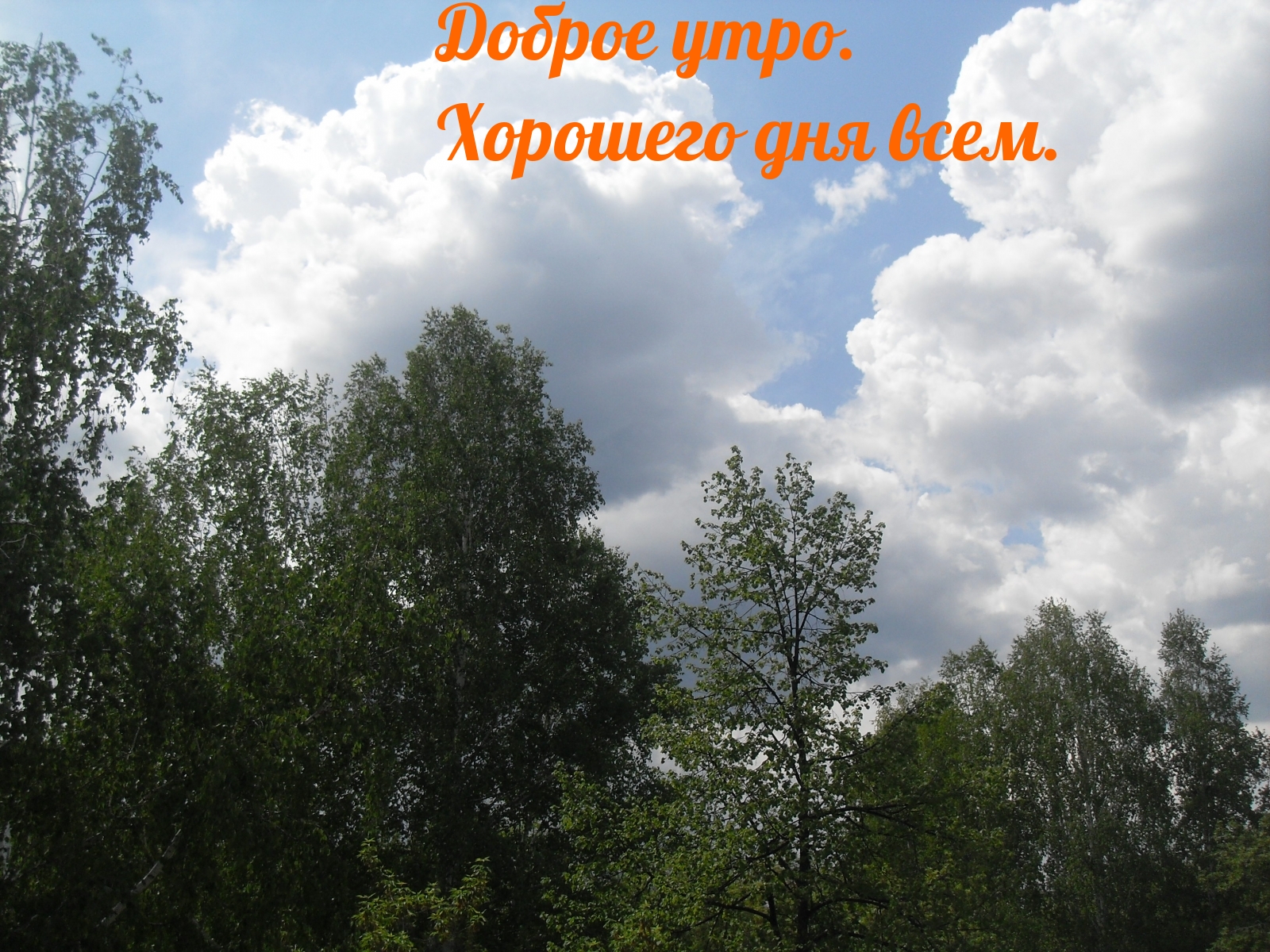 Доброе утро. Хорошего дня всем.