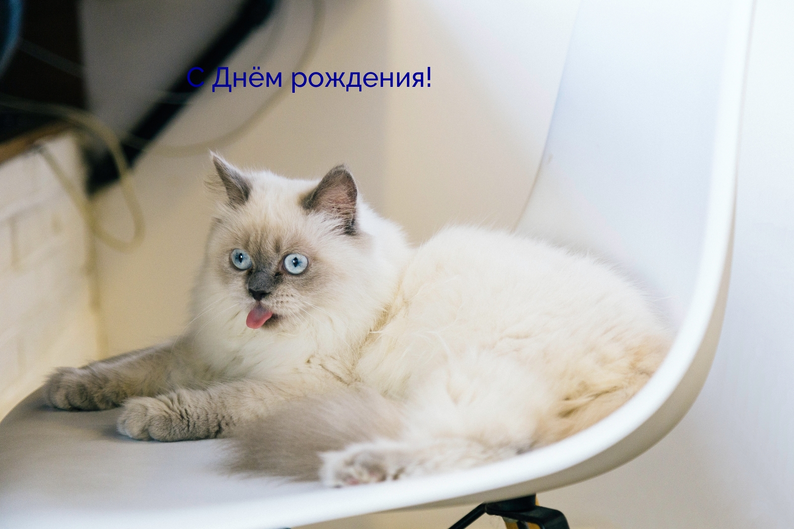 С Днём рождения!