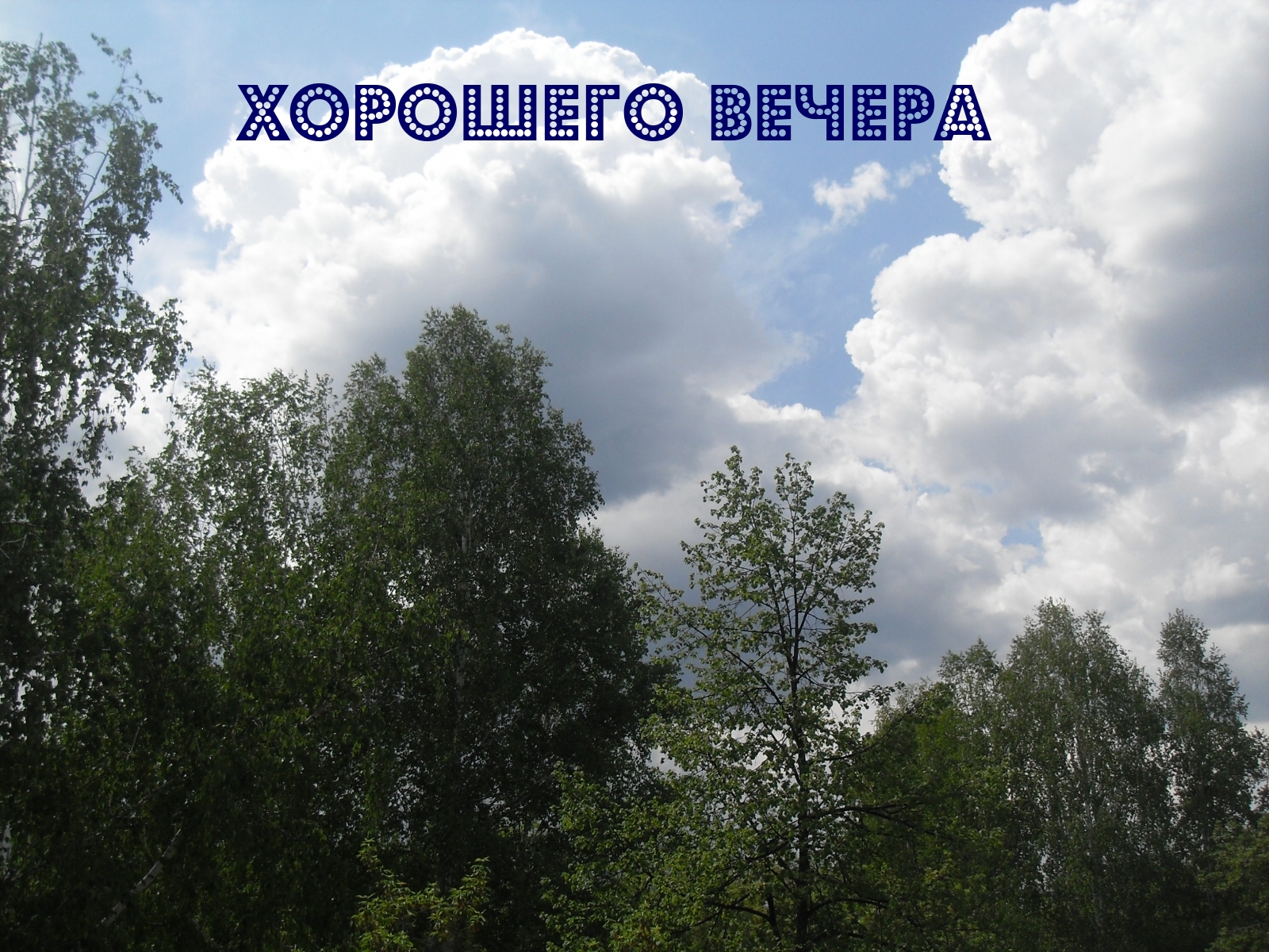Хорошего вечера