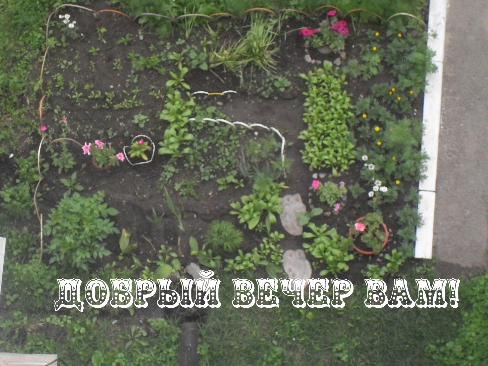 Добрый вечер вам!