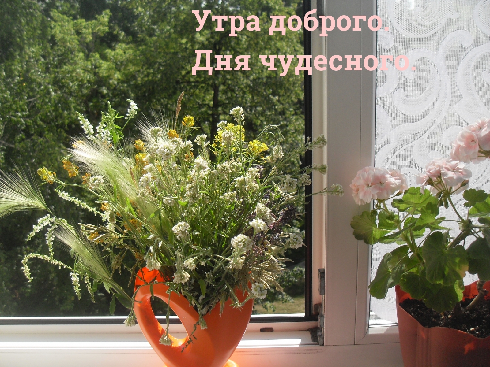Утра доброго. Дня чудесного.