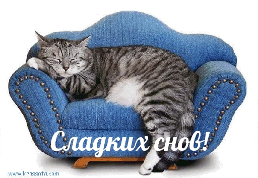 Сладких снов!