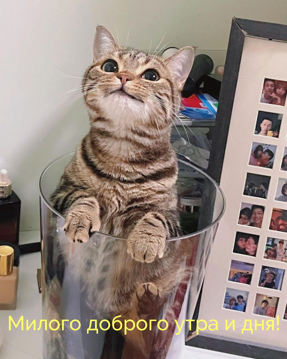 Милого доброго утра и дня!