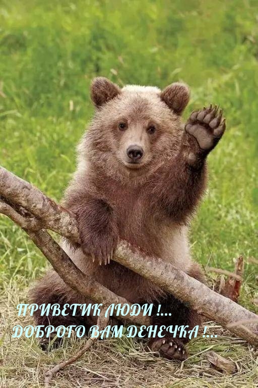 Приветик люди!… Доброго вам денечка!…