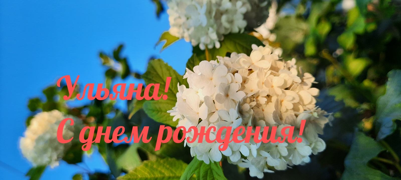 Ульяна! С днем рождения!