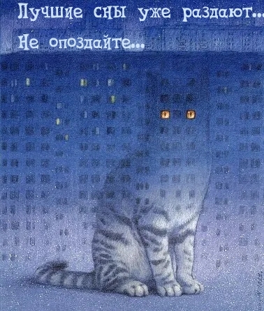 Лучшие сны уже раздают… Не опоздайте…