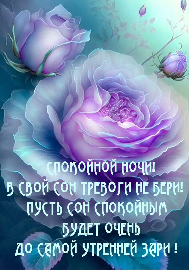 Спокойной ночи! В свой сон тревоги не бери!