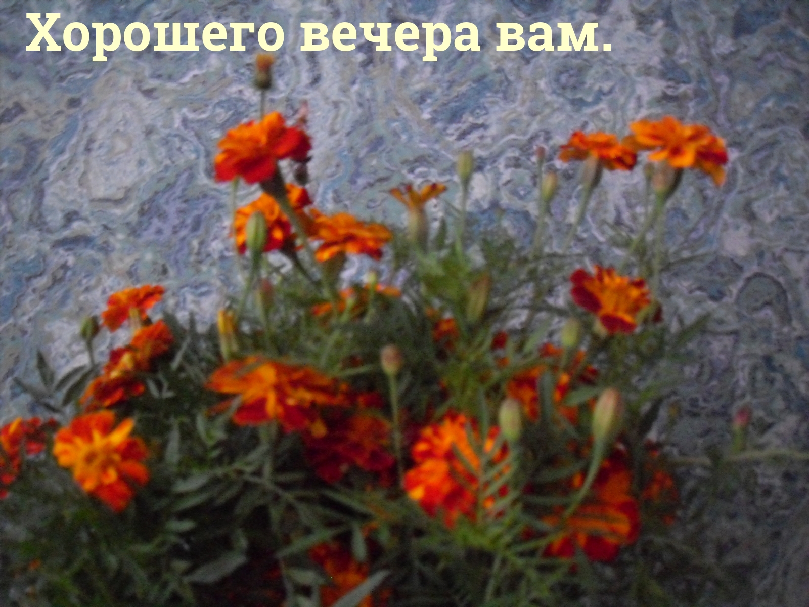 Хорошего вечера вам.