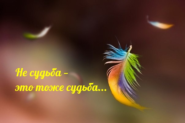 Не судьба — это тоже судьба…