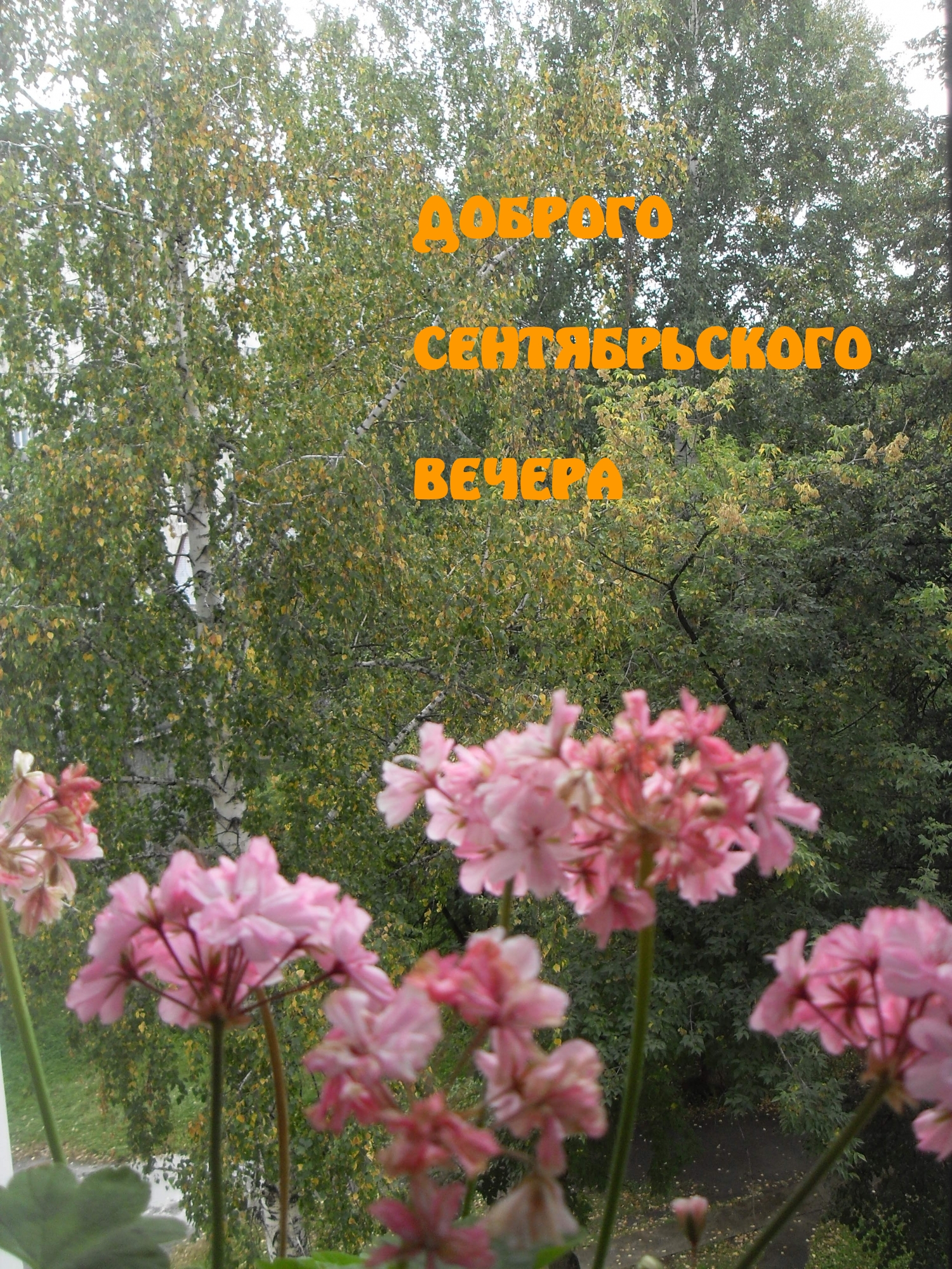 Доброго сентябрьского вечера