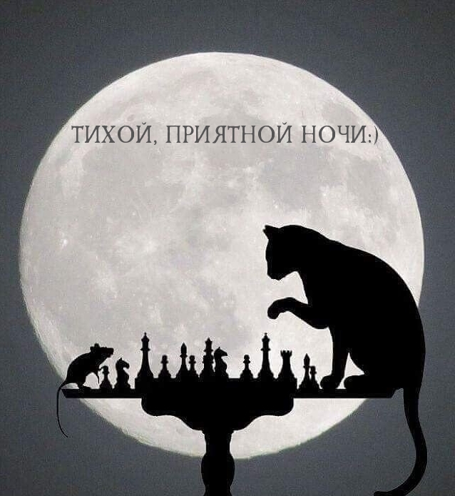 Тихой, приятной ночи:)