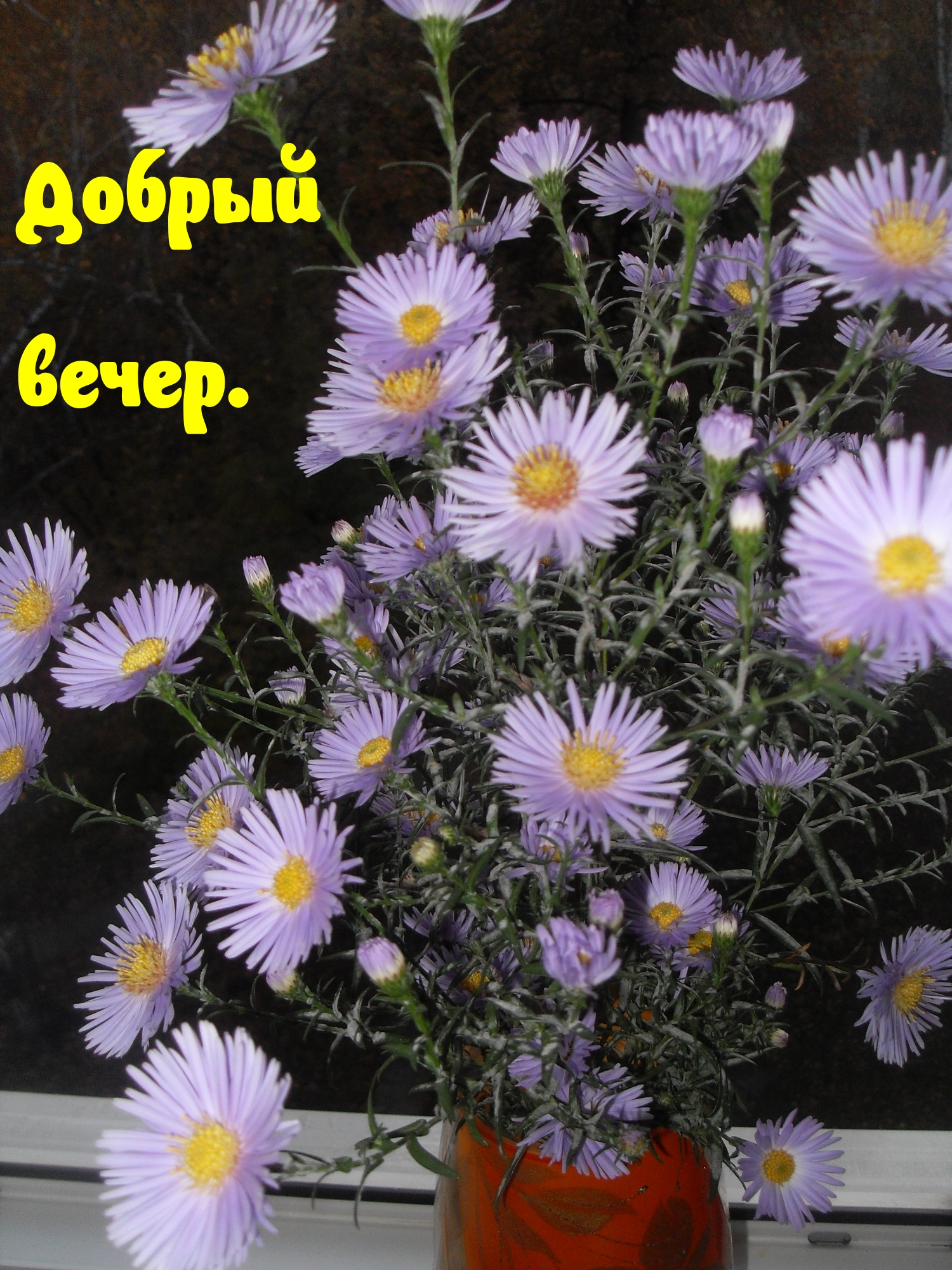 Добрый вечер.