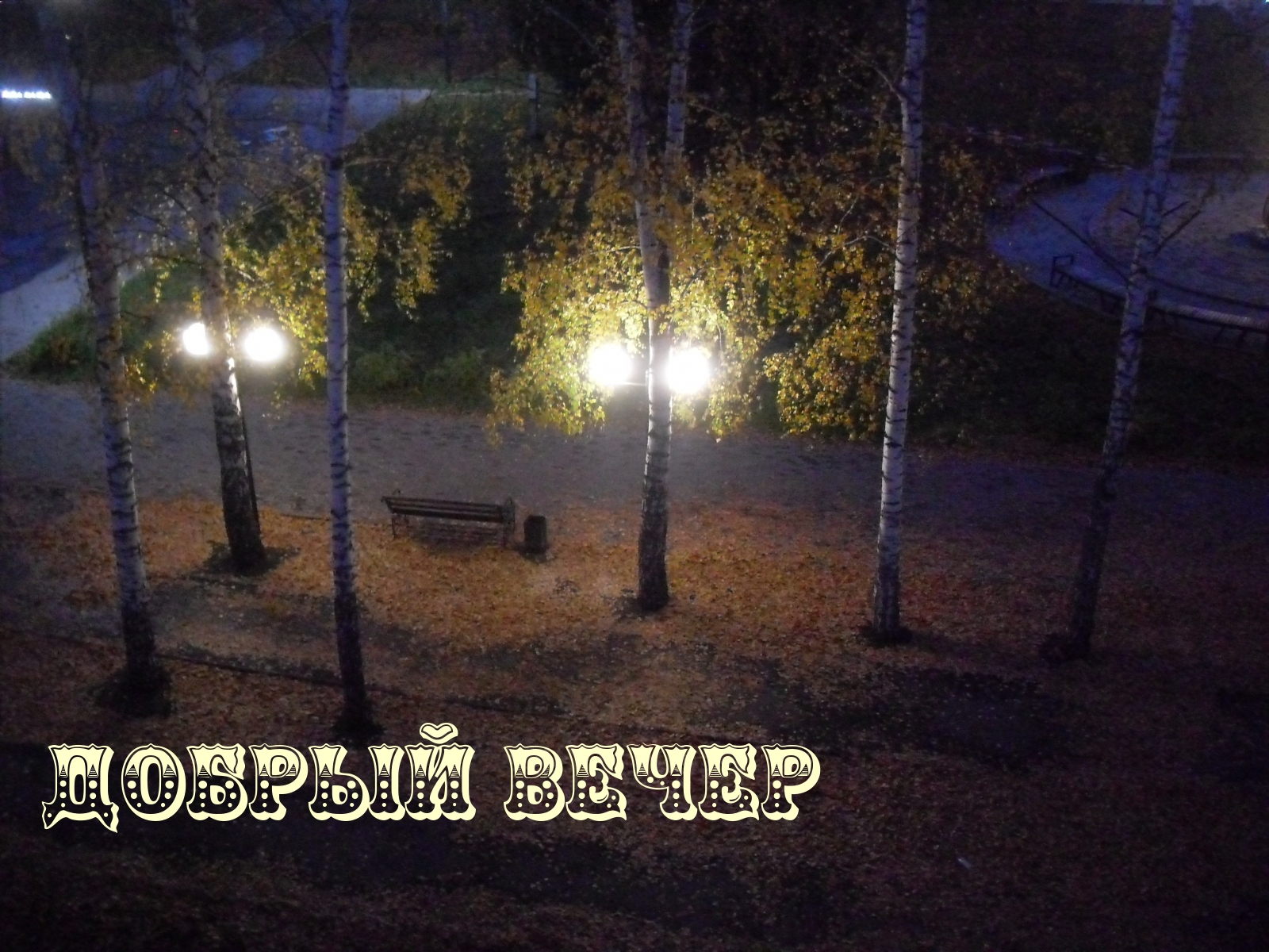 Добрый вечер