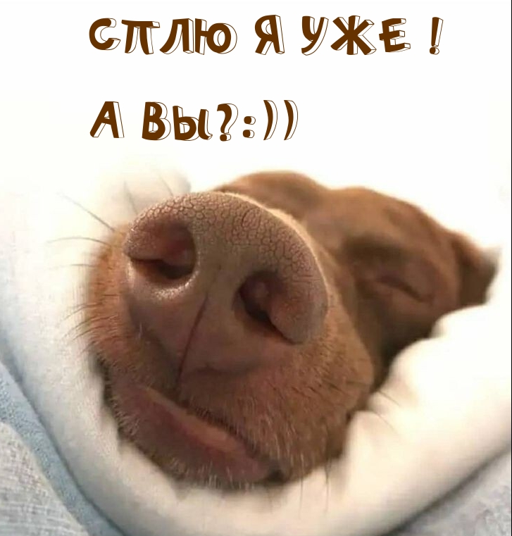 Сплю я уже! А вы?:))