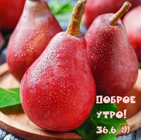 Доброе утро! 36,6 :))