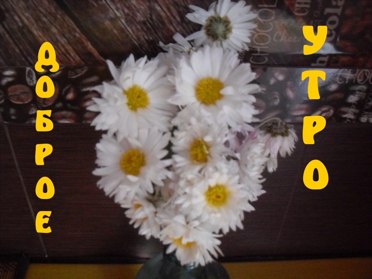 Доброе утро