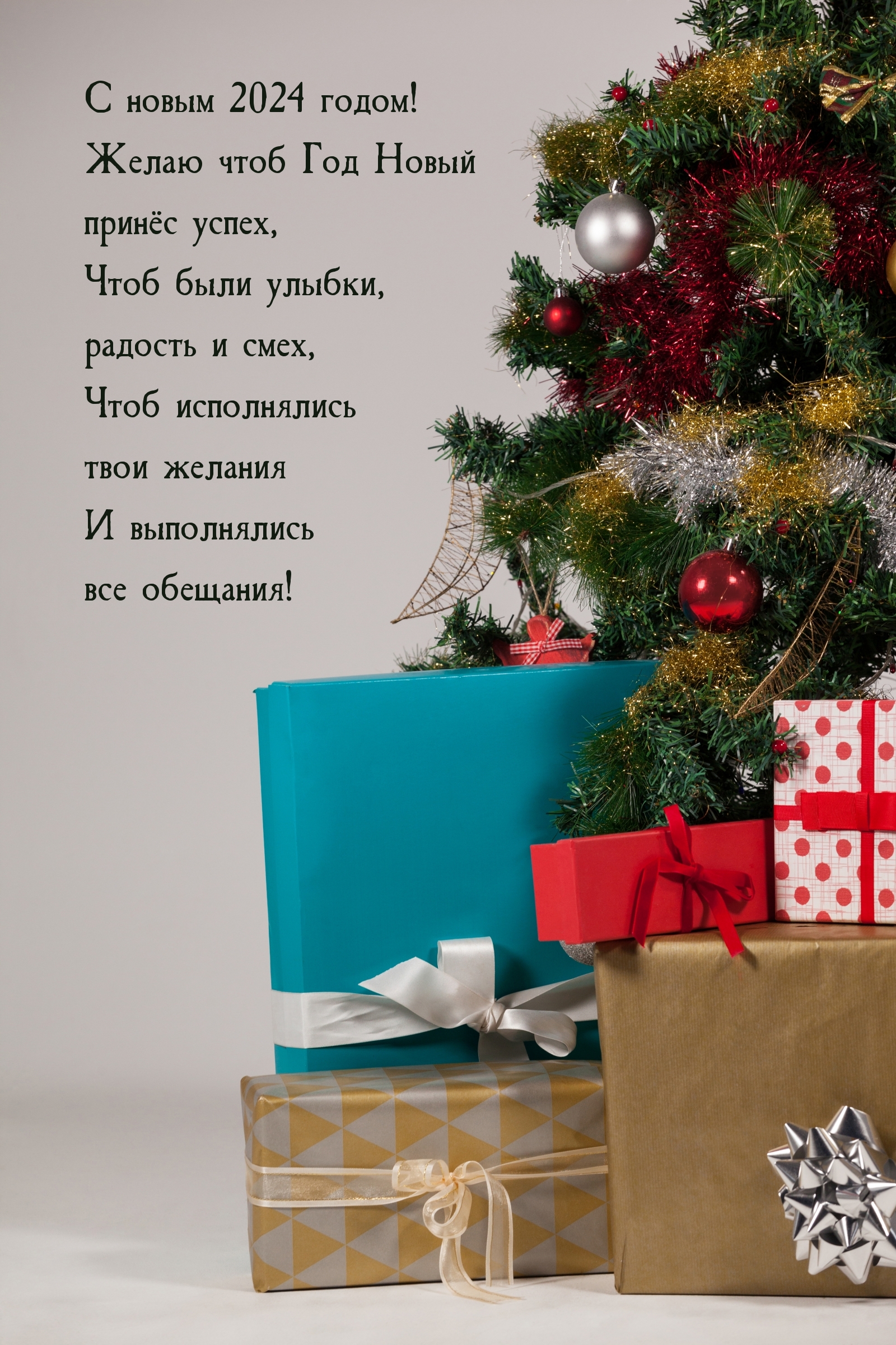 С новым 2024 годом! Желаю чтоб Год новый принёс успех