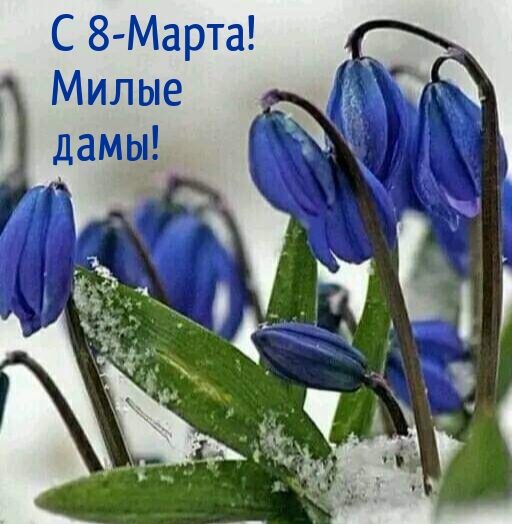 С 8-Марта! Милые дамы!