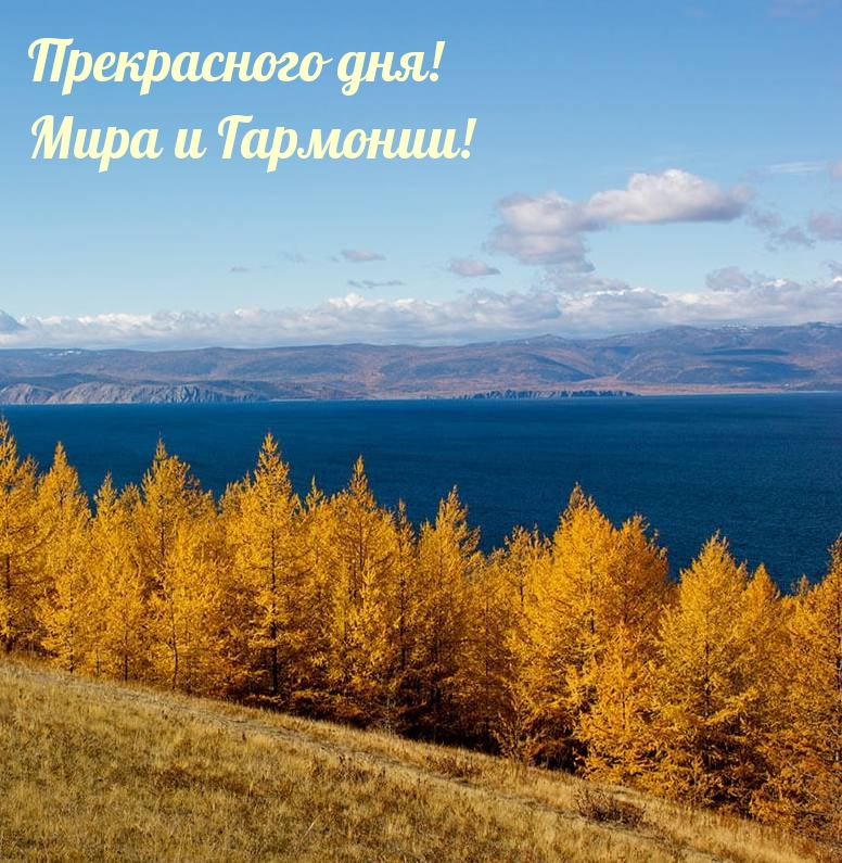 Прекрасного дня! Мира и Гармонии!