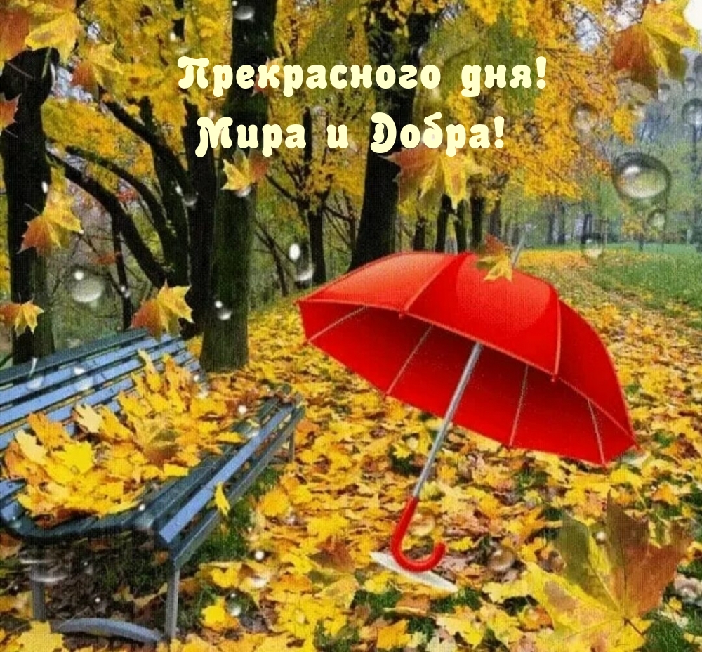 Прекрасного дня! Мира и Добра!