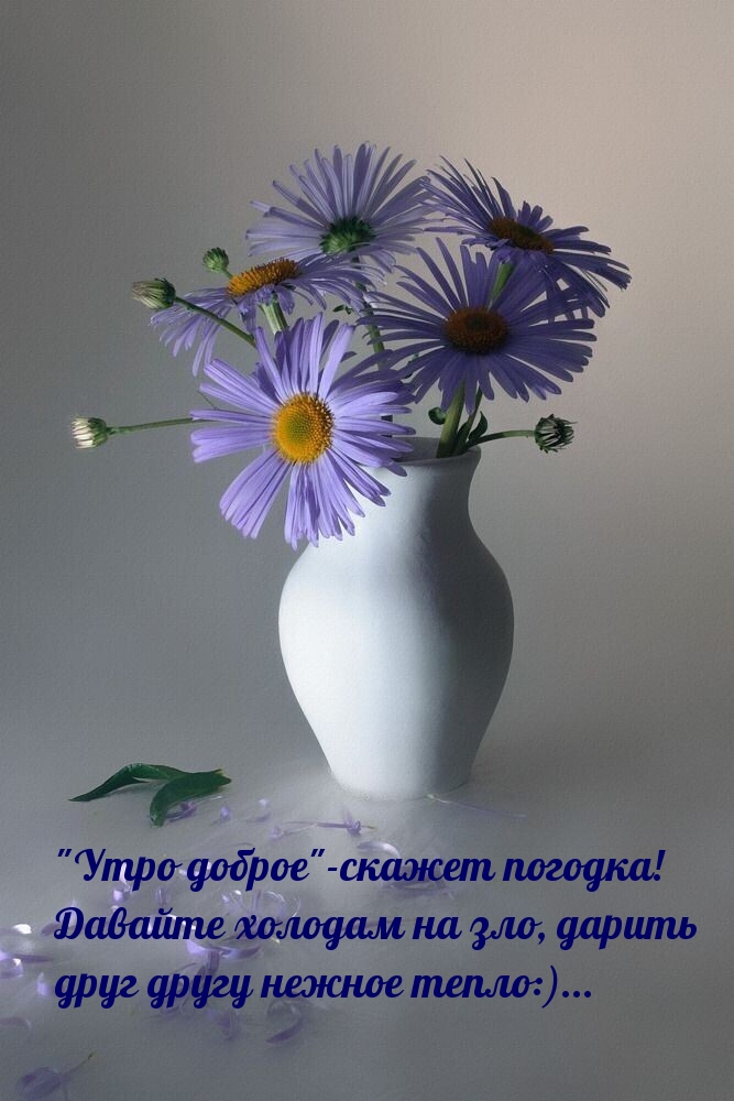 «Утро доброе»-скажет погодка!