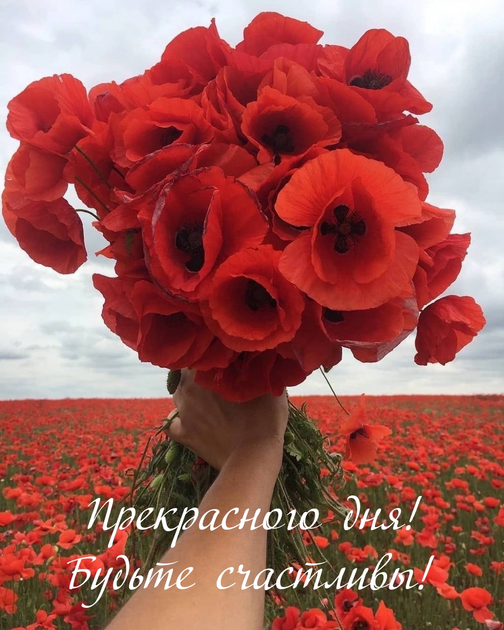Прекрасного дня! Будьте счастливы!