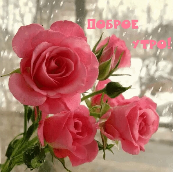 ДОБРОЕ УТРО!
