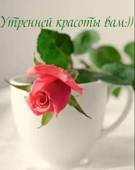 Утренней красоты вам:))
