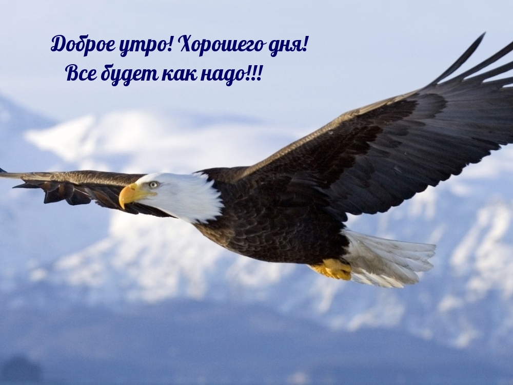 Доброе утро! Хорошего дня! Все будет как надо!