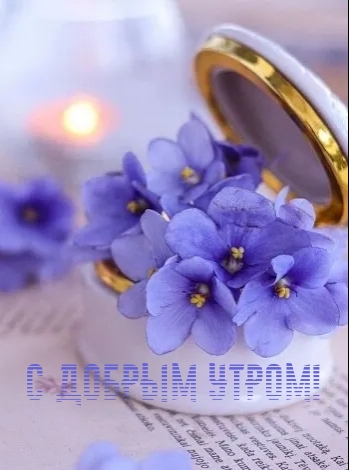 С ДОБРЫМ УТРОМ!