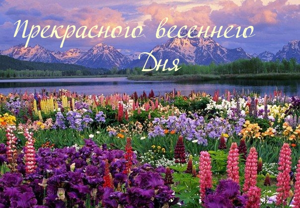 Прекрасного весеннего Дня