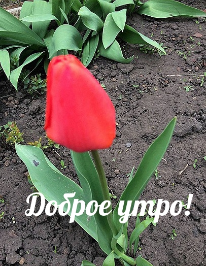 Доброе утро!