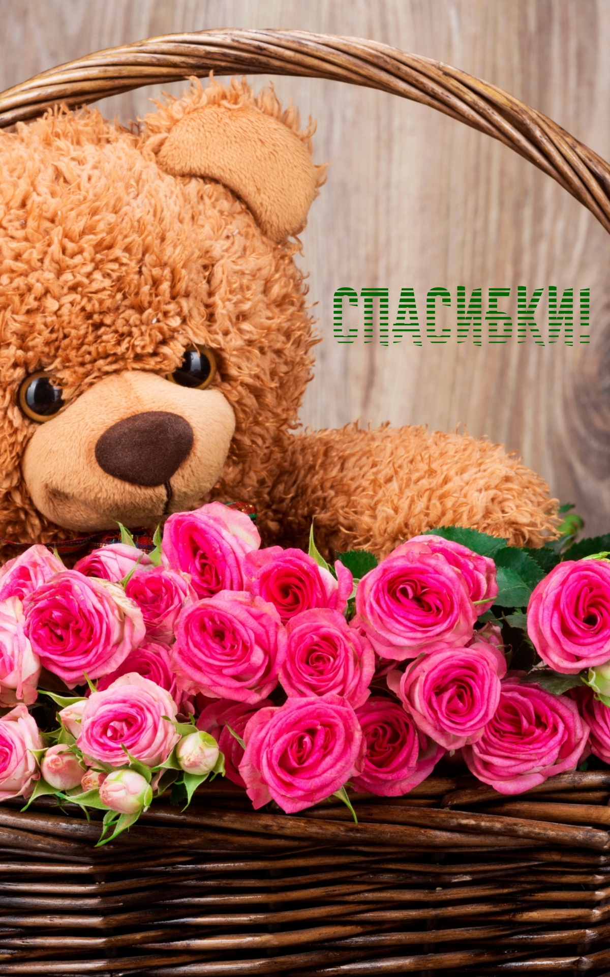 Спасибки!