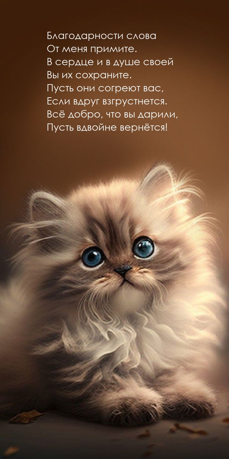 Благодарности слова от меня примите.