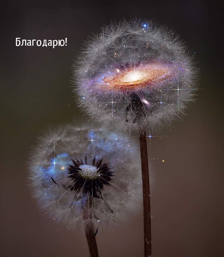 Благодарю!