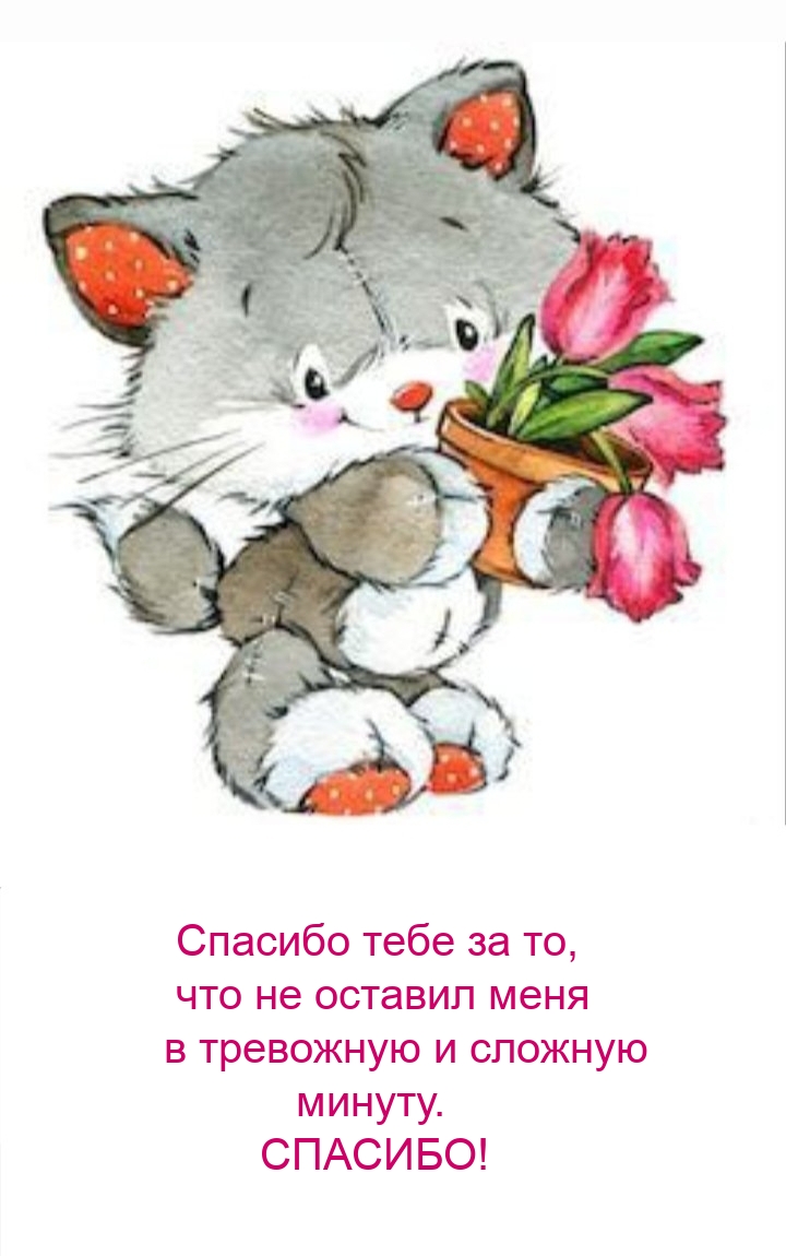 Спасибо тебе за то, что не оставил меня в тревожную и сложную минуту.