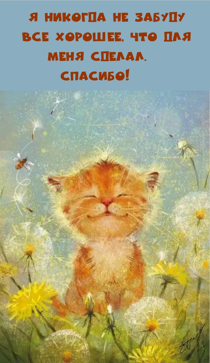 Я никогда не забуду все хорошее, что для меня сделал. Спасибо!