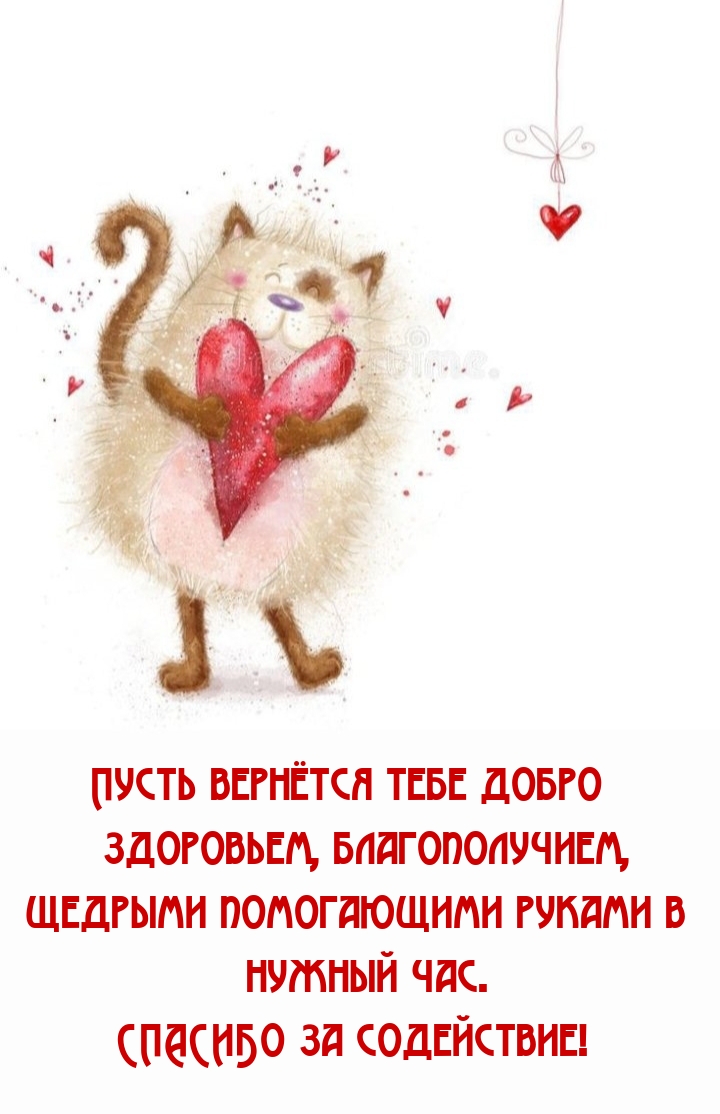 Спасибо за содействие! Пусть вернётся тебе добро здоровьем