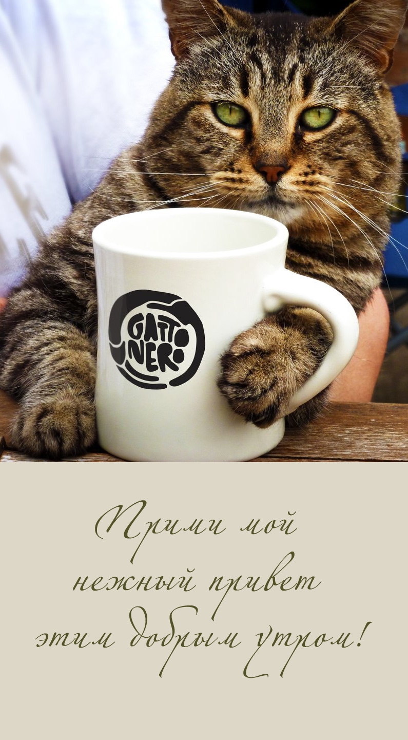 Прими мой нежный привет этим добрым утром!