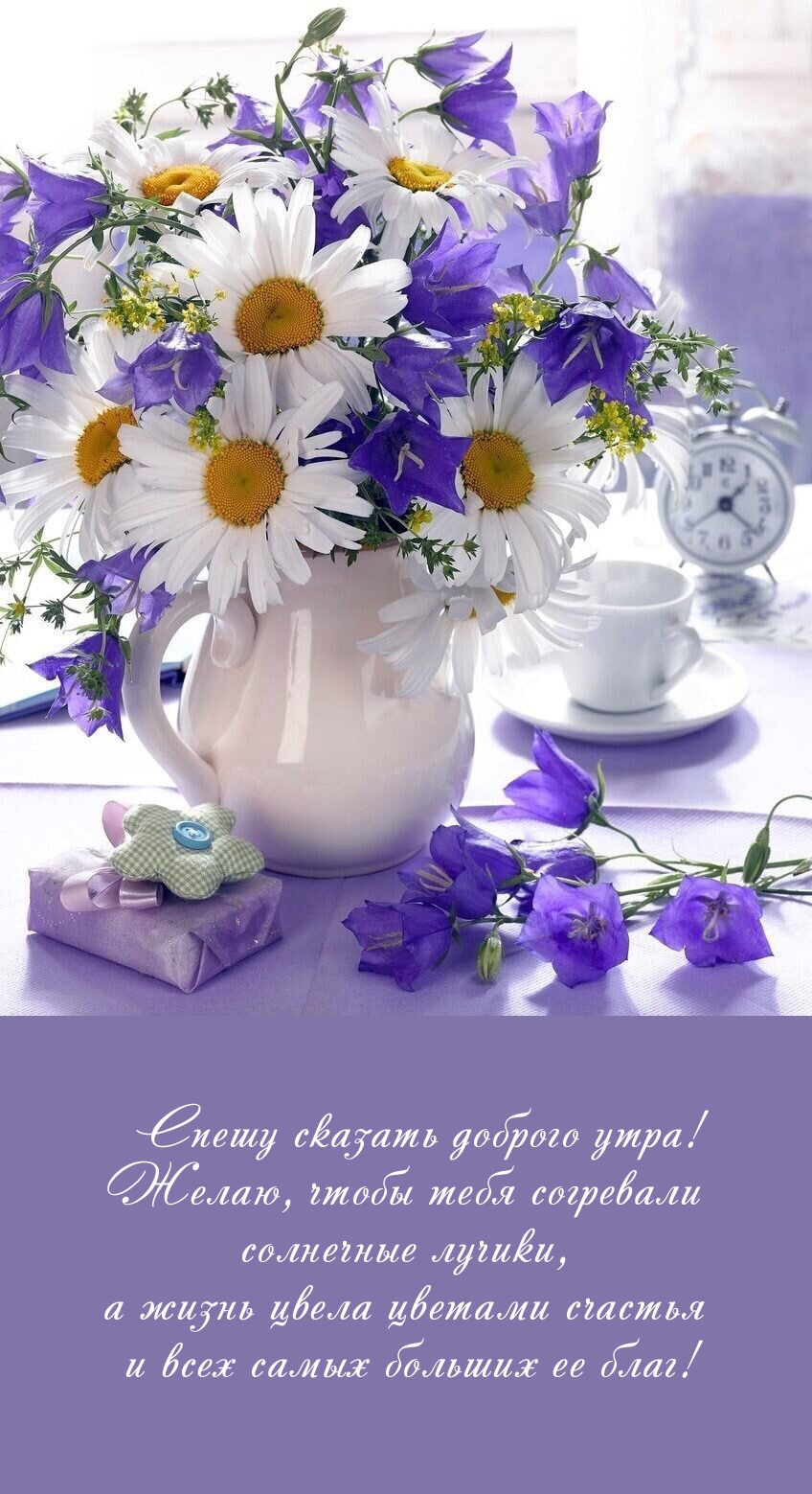 Спешу сказать доброго утра! Желаю, чтобы согревали солнечные лучики