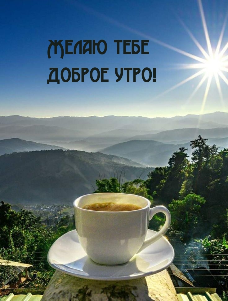 Желаю тебе доброе утро!