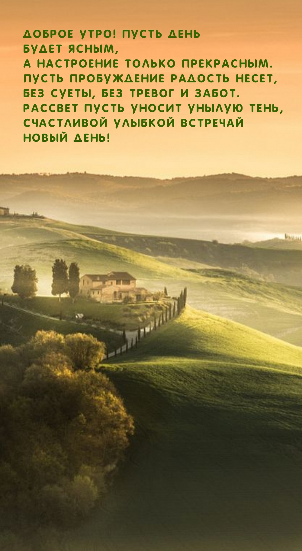 Доброе утро! Пусть день будет ясным, а настроение прекрасным.