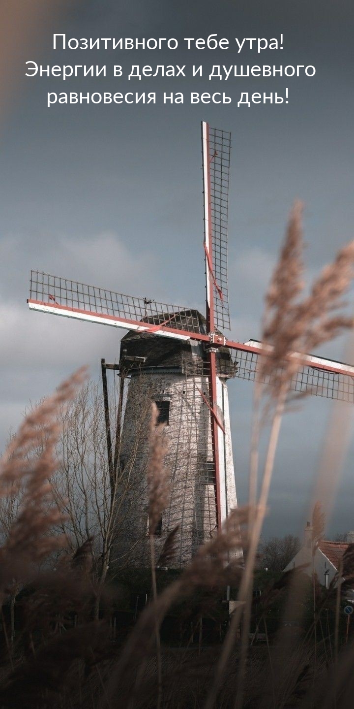 Позитивного тебе утра! Энергии в делах и душевного равновесия